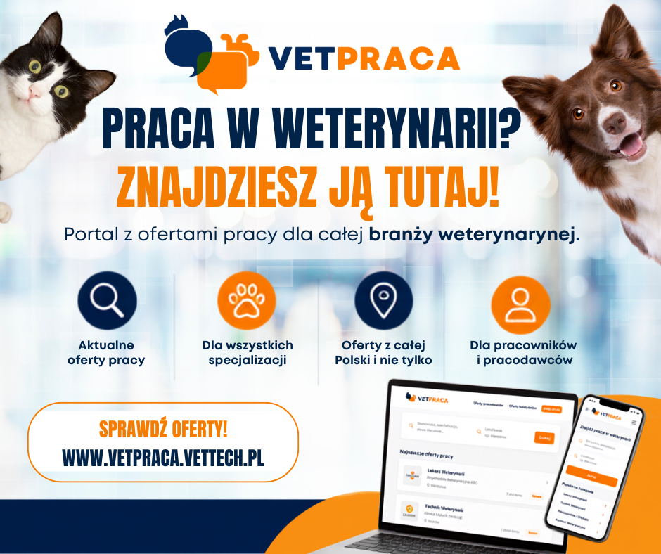 Praca dla weterynarzy