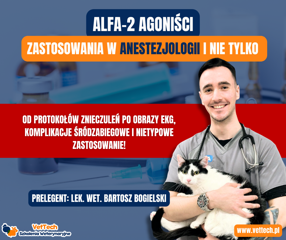 szkolenie praktyka dla technika