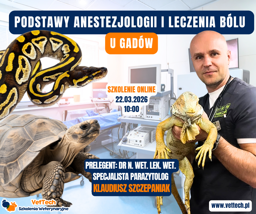 szkolenie praktyka dla technika