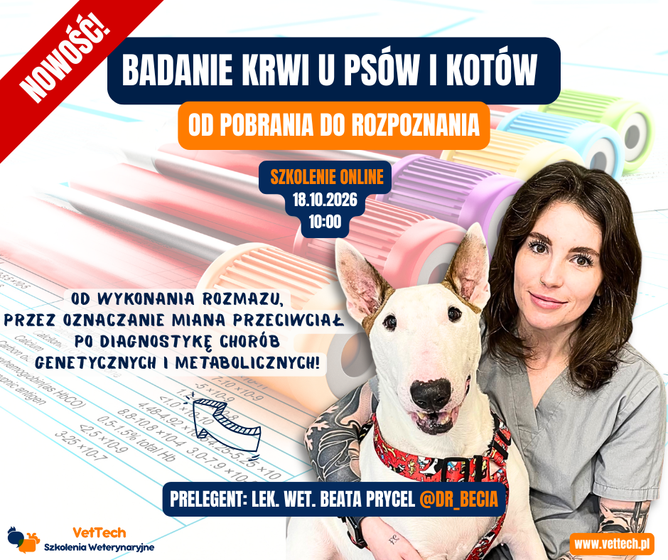 Udar cieplny