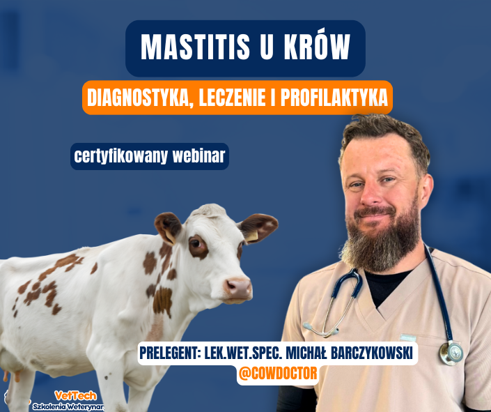 szkolenie praktyka dla technika