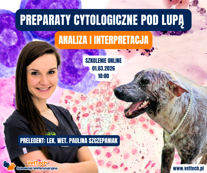 szkolenie praktyka dla technika