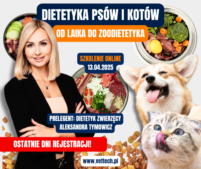 szkolenie praktyka dla technika