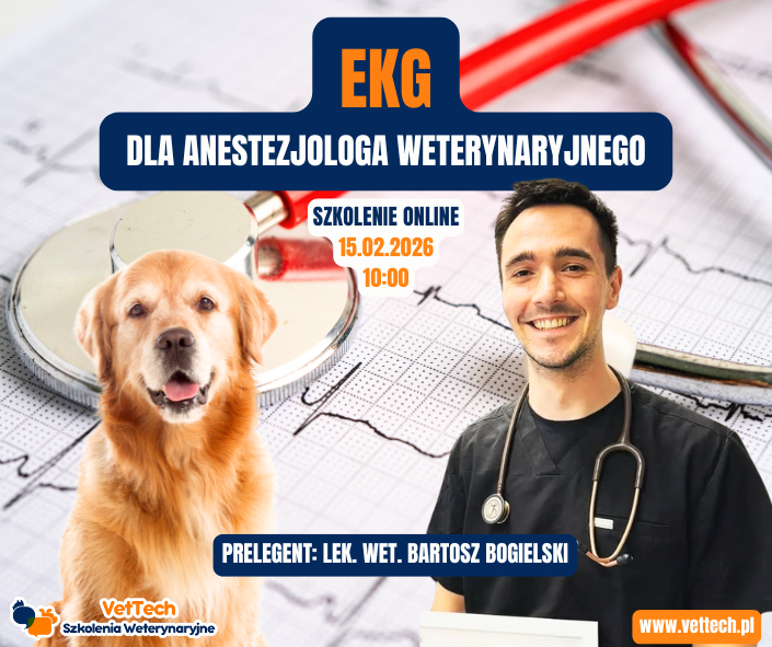 szkolenie praktyka dla technika