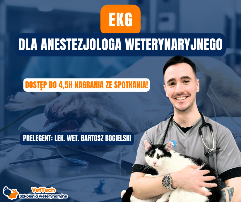 szkolenie praktyka dla technika