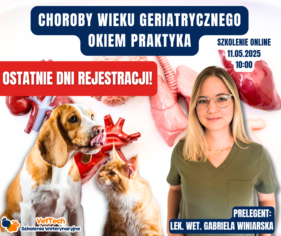 szkolenie praktyka dla technika