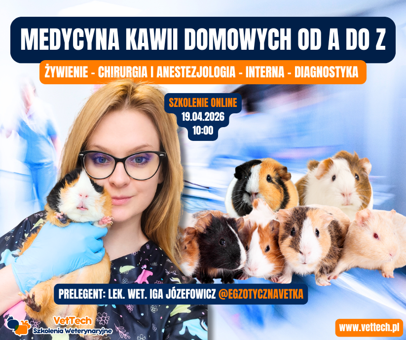 szkolenie praktyka dla technika