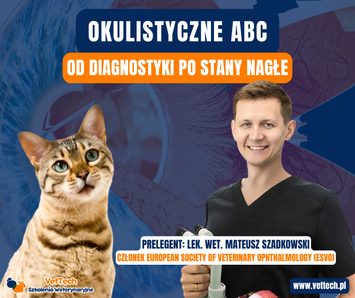 szkolenie praktyka dla technika