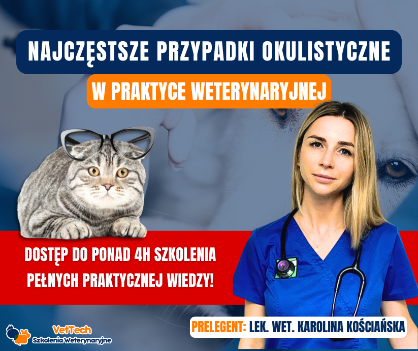 Choroby krów