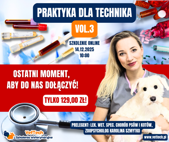 szkolenie praktyka dla technika