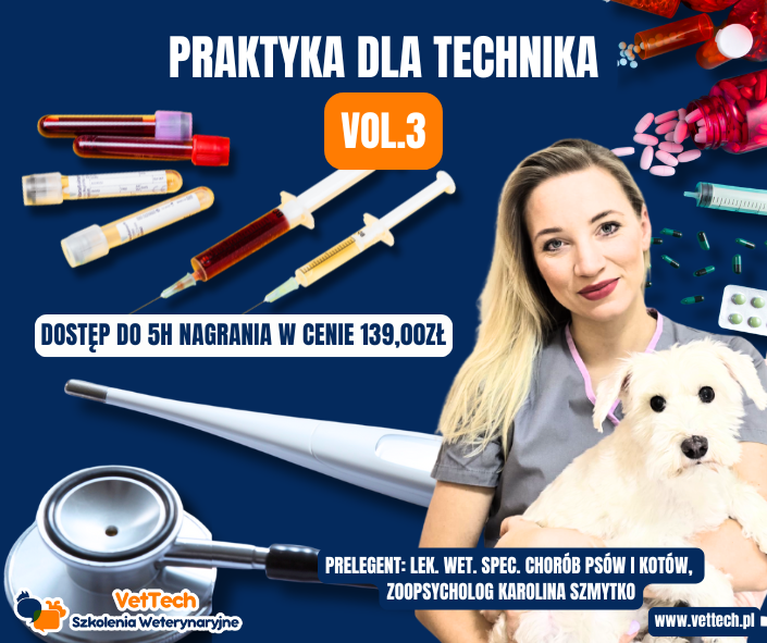 szkolenie praktyka dla technika