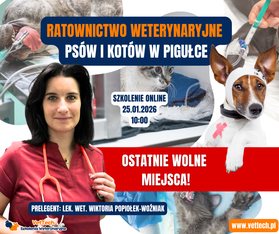 szkolenie praktyka dla technika