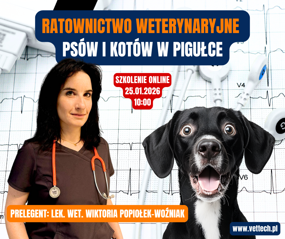 szkolenie praktyka dla technika