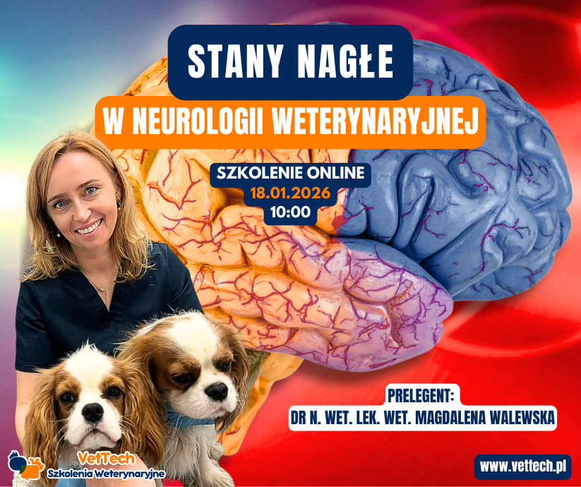 szkolenie praktyka dla technika