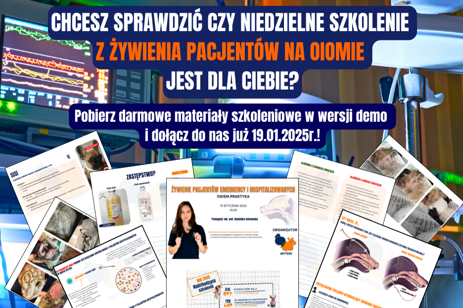 Żywienie psów i kotów na OIOMie