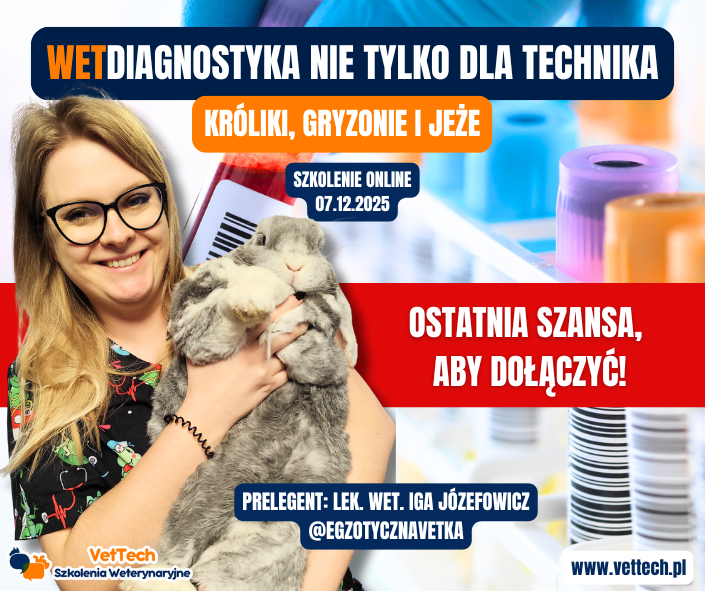szkolenie praktyka dla technika