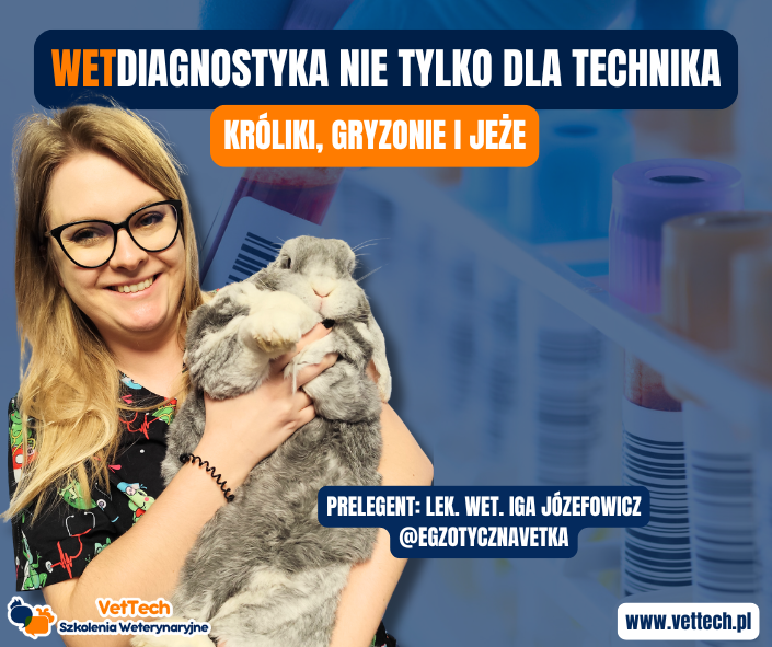 szkolenie praktyka dla technika