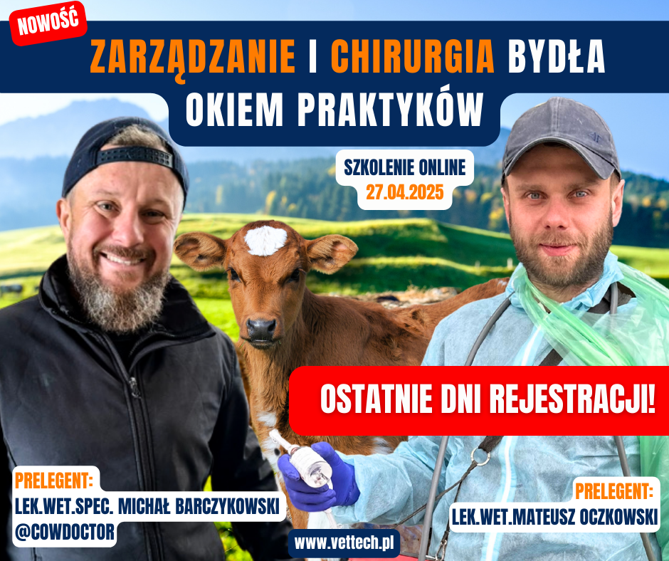 szkolenie praktyka dla technika
