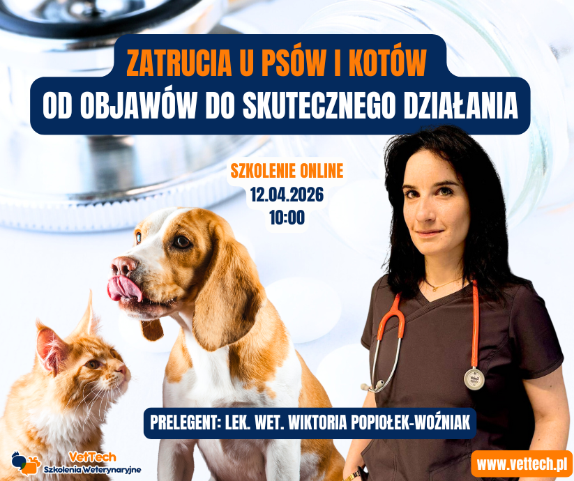 szkolenie praktyka dla technika